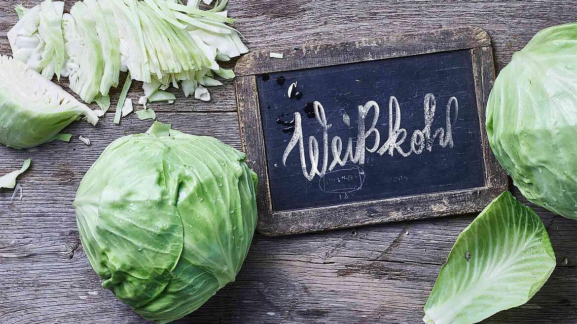 Inmitten von frischem, rohen Weißkohl befindet sich eine Tafel, auf der das Wort Weißkohl geschrieben steht. 